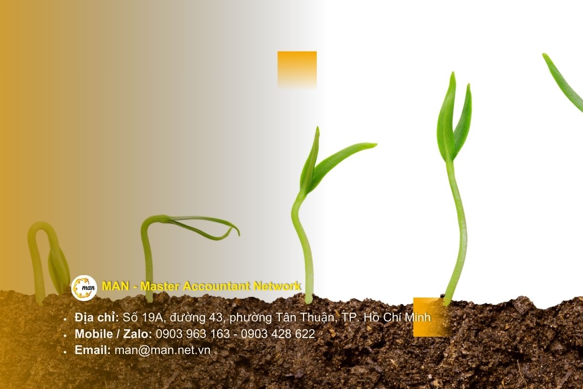 Quy trình kiểm toán nội bộ giao dịch liên kết