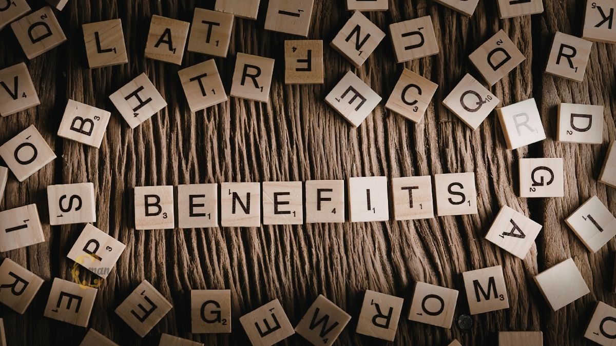 Lợi ích khi sử dụng dịch vụ chuyển giá Trà Vinh của MAN