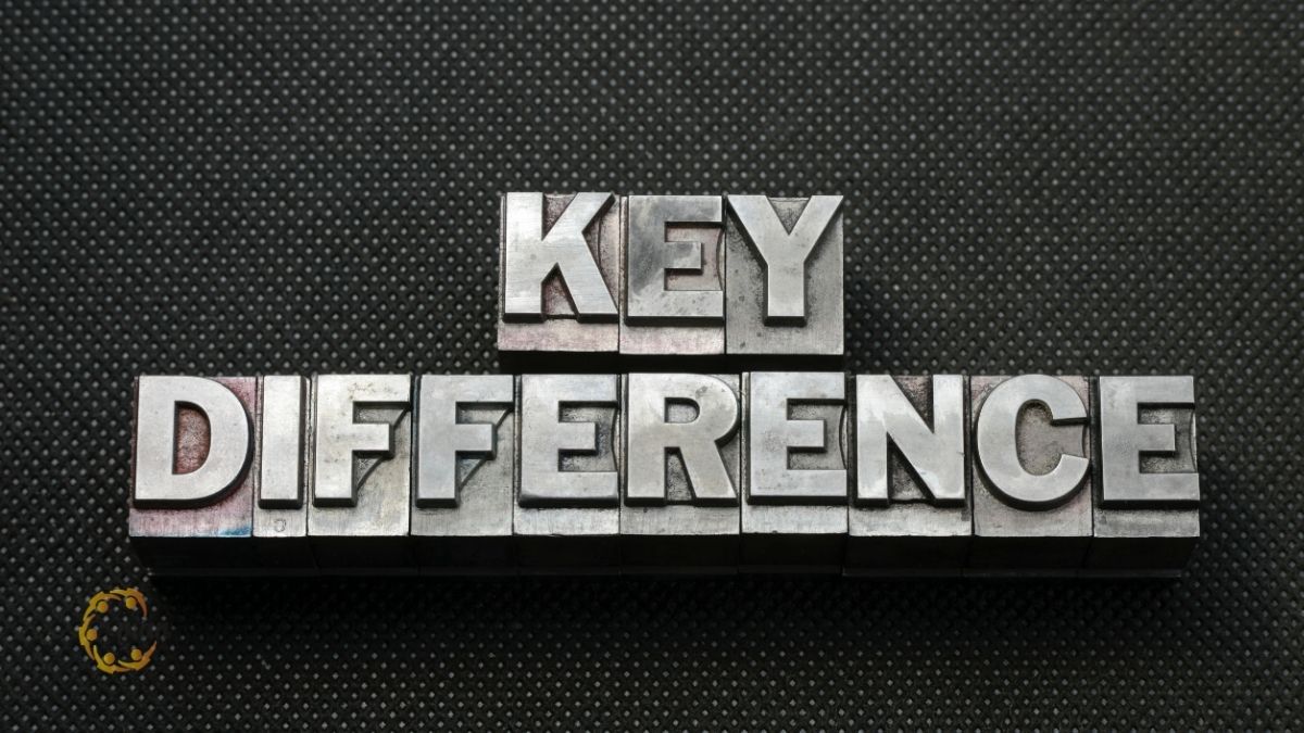 Lý do vì sao chi phí dịch vụ tư vấn chuyển giá có sự chênh lệch lớn