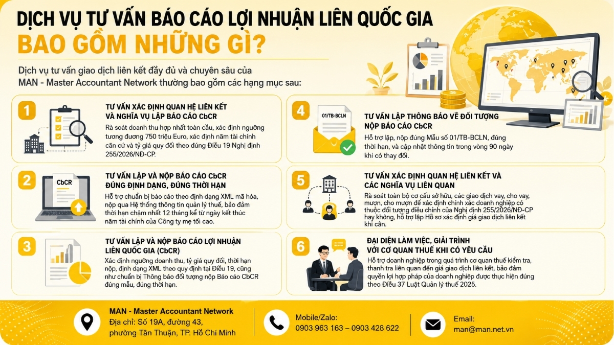 Dịch vụ tư vấn báo cáo lợi nhuận quốc gia bao gồm những gì